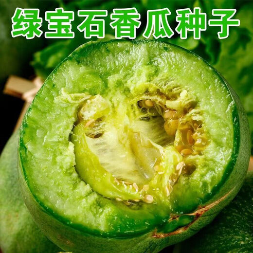Emerald melon seeds thin-skinned super sweet cantaloupe seeds spring green-skinned four-season crisp melon early-maturing cantaloupe seeds original 3 packs of about 180 capsules