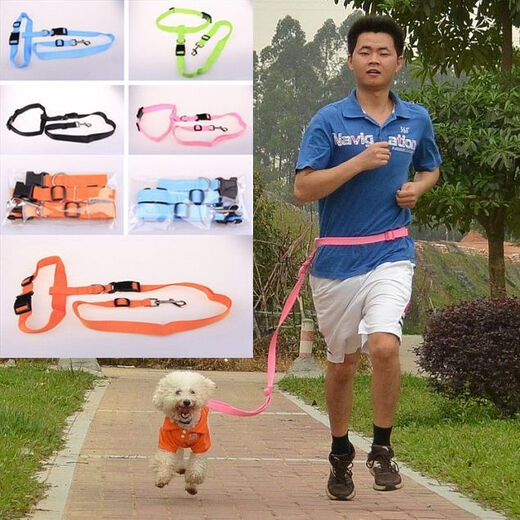 Naughty Nest Dog Running Waist Lash Pet Dog Chain Moyenne taille petite chien extérieur élastique élastique chiens de marche de marche courte