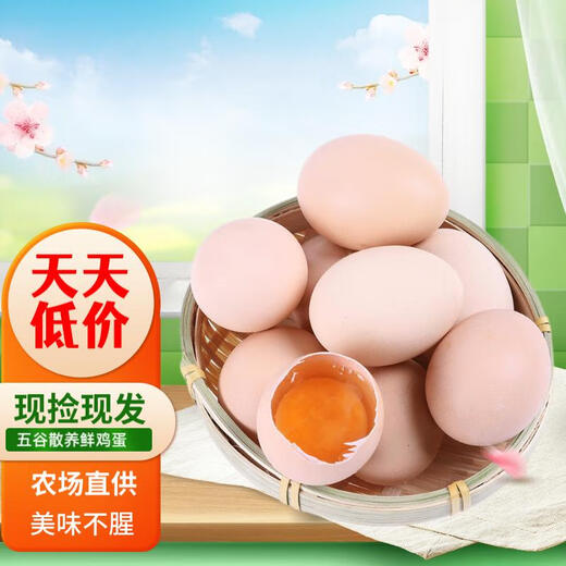 Cereal fresh eggs Farmer free-range fresh eggs 40g single 5 12 pieces (40g/piece) Cereal fresh eggs Farmer free-range fresh eggs 40g single 5 12 pieces (40g/piece)