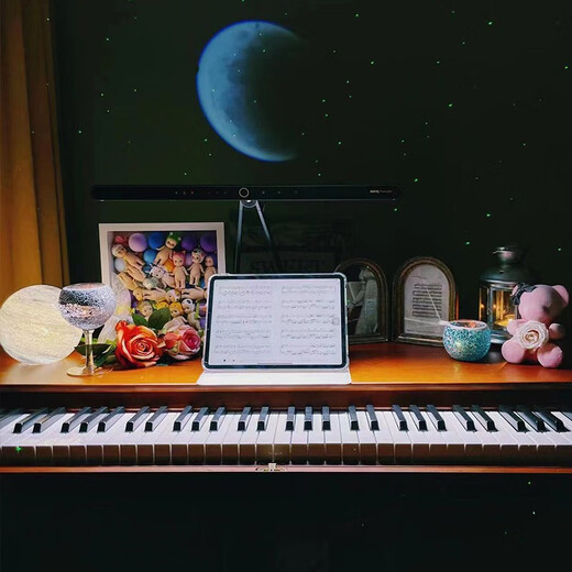 Sean SN670 Electric Piano 88 Keys Heavy Hammer Home Beginner Kindergarten Teacher Professional Grade Examination Solid Wood Dresser Drawer Piano SN670 Heavy Hammer Keys - Log Color + Piano Bench