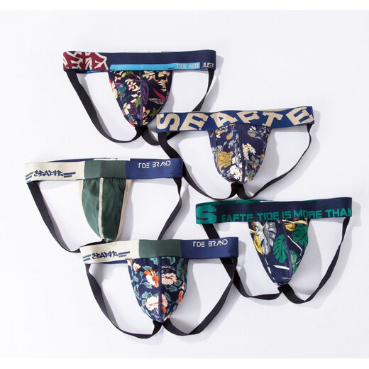 ROSELEX confidential delivery men's sexy underwear sexy low-waist cotton comfortable double thong sexy underwear L T1