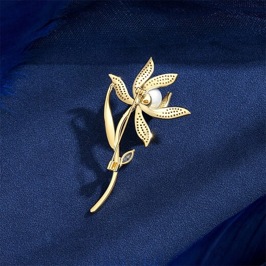 Marco Bizzarri gives teachers a Teacher's Day gift, high-end orchid brooch for women, exquisite pearls, corsage for women, suit anti-exposure accessories, 520 gift for girlfriend, birthday gift for best friend