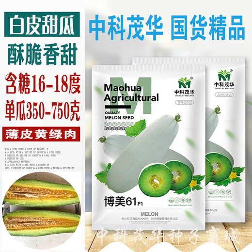 Bomei 61 melon seeds replace croissant honey Boyang series super sweet green meat vegetable melon seeds 100 capsules Bomei 61/bag high-yielding type