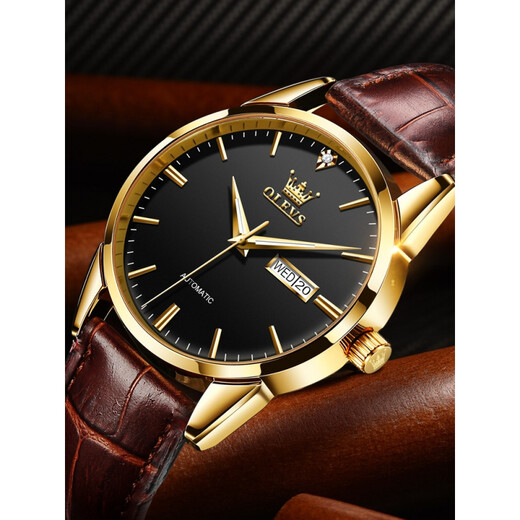 Top 10 European Waterproof Men's Watches Swiss Mechanical Watch de alta gama 2025 Nuevas marcas Top Top Watchs Men's Men's Bottom Belt 6629 Brown Leather Room Black Men's Watch