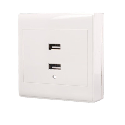 People's Electrical Appliances USB Socket Panel Specifications Two-digit USB Unit
