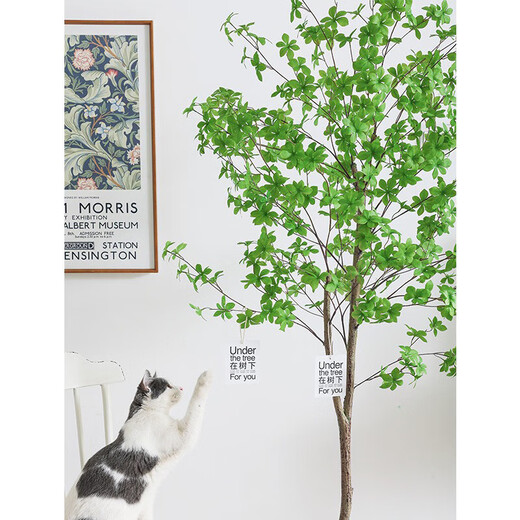 Hua e flow simulation hanging bell tree horse drunken wood plant clothing store bionic fake green plant decoration potted indoor living room floor-standing ornaments 1.8m multi-pole + lined rattan basket