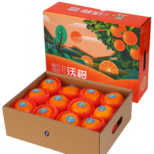 Guangxi Wogan Super Pure Sweet Thin Skin Juicy Wogan Fresh Seasonal Fruit Citrus Orange 5Jin Jin equals 0.5kg Single fruit 100-130g
