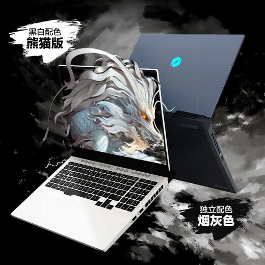 Mechanical Revolution (MECHREVO) Jiaolong 16 Pro 16-inch gaming e-sports laptop (R7-7745HX 16G 1T RTX4060 240HZ 2.5K White)