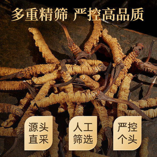 4 Wild Cordyceps sinensis Wurzeln auf Lei yunshang/g 6 g etwa 24 Teile Wild Cordyceps sinensis in Nagqu, Tibet für den Vatertags Geschenkbox