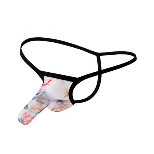 Sexy underwear for men, smooth and soft mesh, separated perspective, men's sexy sexy thong, T-string underwear, sexy underwear, alternative sexy SM, purple red, European size