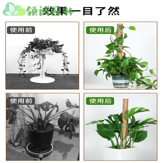 
Monstera support pole green basket climbing column coconut palm stick green ivy fixing frame plant climbing flower frame palm column coconut shredded 100cm long coconut palm column * 1 + strap