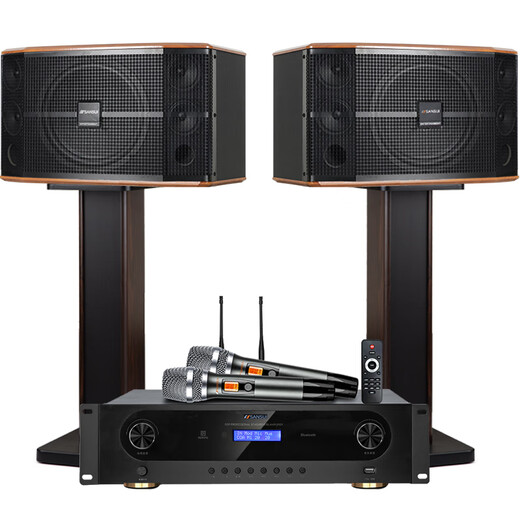 山水（SANSUI） FK-101专业10喇叭家用商用家庭美声k歌音响套装点歌机大功率卡拉OK音箱功放一体机影院 FK121卡包箱+功放+山水双话筒