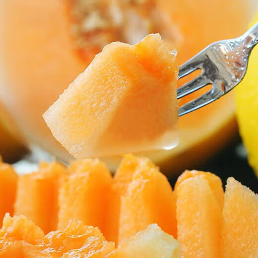 Dayu White Melon Seed Collection Cantaloupe Seedlings Seedlings Seedlings Baishami North and South Fruit Balcony Planting Spring Elizabeth Melon Seeds 30 capsules early maturing