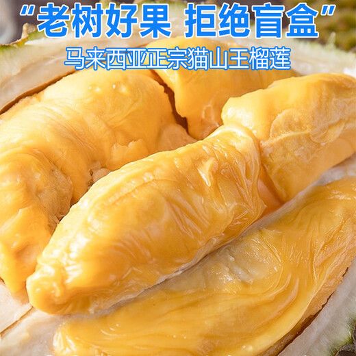 京地达马来西亚猫山王榴莲 净重4.5斤单果4.5斤 液氮冷冻源头直发包邮