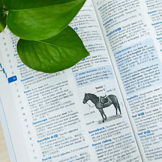 牛津初阶英汉双解词典第5版 赠小学英语学习包3年使用权 商务印书馆2025年新版中小学生英语词典工具书 可搭购新华字典现代汉语词典古汉常用词典成语古代汉语词典ket英语