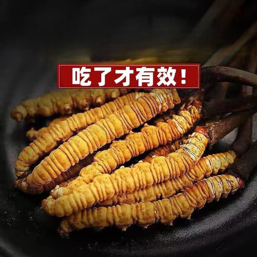 Пекин Тонгрентанг [Черная пятница] Cordyceps Sinensis Fresh Cordyceps сухожие товары Cordyceps Аутентичный фестиваль чистого мяса 31 штуки для 3 пакетов