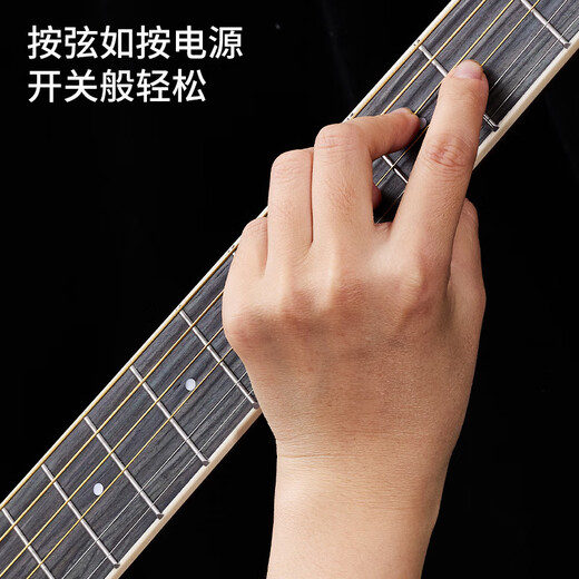 Acacia Bird Guitar Folk Guitar 40 Inch Beginners Beginner Guitar Matte Wood Color