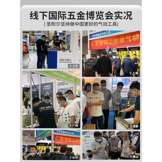 圣耐尔气动打磨机风磨笔气磨工业级小型气动打磨抛光雕刻工具 旗舰版S-6636大扭力标配 送