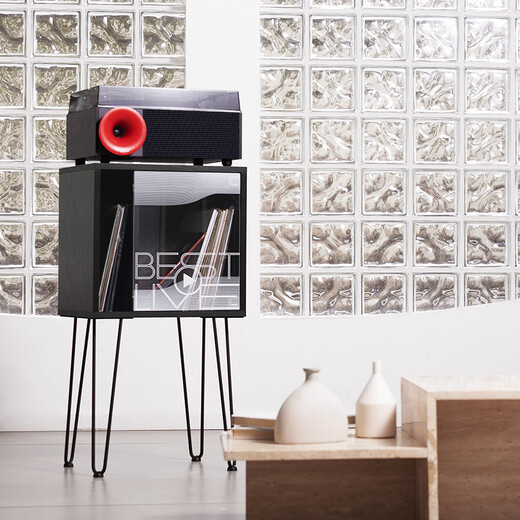 Fennessy Vinyl Record Cabinet Peripheral Base Speaker Bookcase LP Sofa Side Cabinet Living Room Bedroom Storage Cabinet Display Cabinet