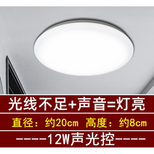 Micro-radar induction ceiling light, stair light, sound control light, corridor all-white corridor light, human body induction light, LED aisle light, 20 cm 12W sound and light control, integrated driver