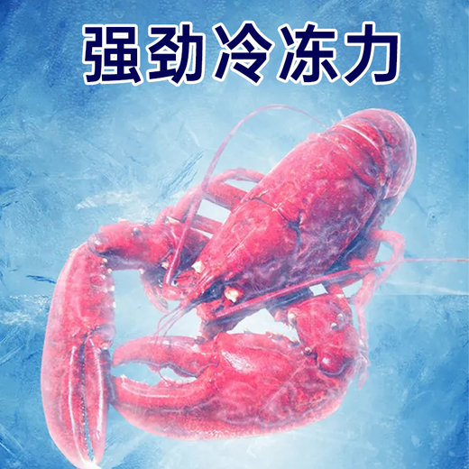 Arctic Sichuan Titaniumgrau Gewerbeberechter Horizontaler Gefrierschrank Tieftemperatur-Gefrierschrank Supermarkt Lebensmittel Kühlschrank Energieeinsparung Elektronische Temperaturregelung Handelsberechtigter Kühlschrank Ice Cream Kühlschrank Displayschrank 1,45 Meter lang Edelstahl Innen Liner-698 Titaniumgrau Eintemperatur intelligent intelligent