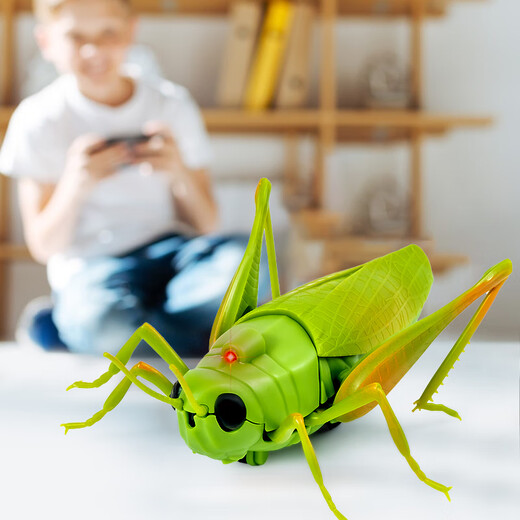 
Creation techniques remote control grasshopper electric toys little boys and girls Internet celebrity simulation can move insects, reptiles, small animals, children's pranks [Classic version - remote control centipede] Yellow and black model 9901+ screwdriver, equal size
