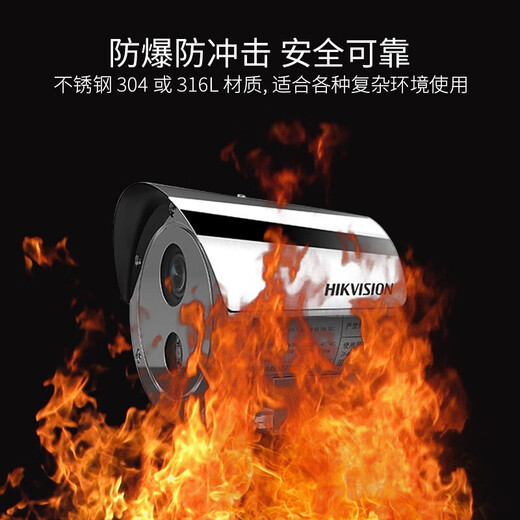 海康威视红外防爆监控摄像头机化工厂POE高清监控DS-2XE6222F-IS 海康DS- 2XE6222F-IS 4mm1080p