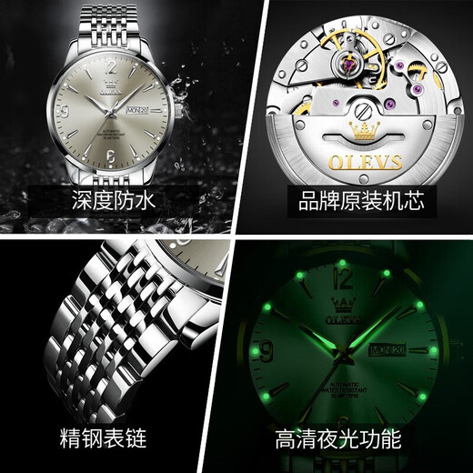 Top 10 Olevs Brands Swiss Certified Watch Men's Mechanical Uhr
