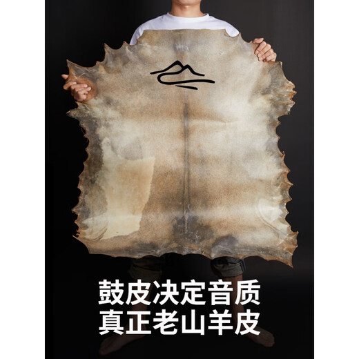 NUOSHENG儿童非洲鼓标8幼儿园成人初学者丽江手鼓打击乐器10/12寸 大8遨游太空【背带】