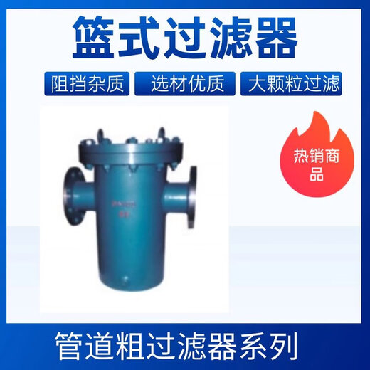 Shourunheng straight-through basket filter DN250-16C