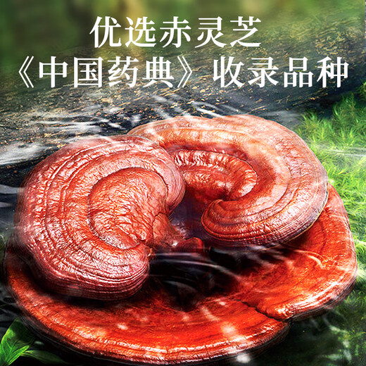 雷允上 九芝图有机破壁灵芝孢子粉48袋免疫力保健营养品术后恢复送长辈