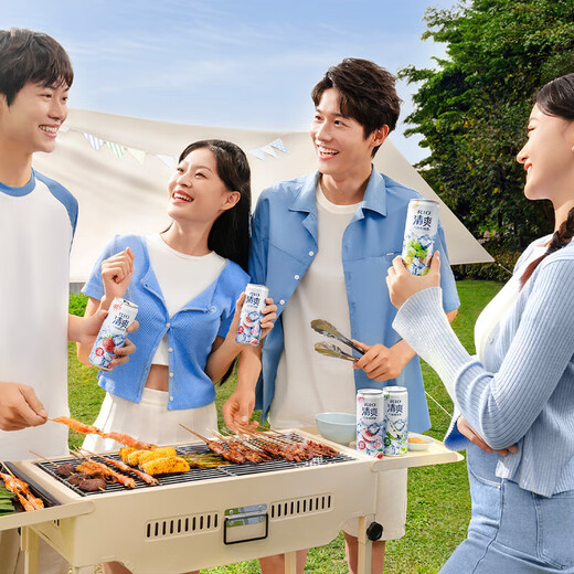 锐澳（RIO）洋酒预调鸡尾酒 清爽系列低度酒组合 清爽330ml*8罐 单葡萄口味