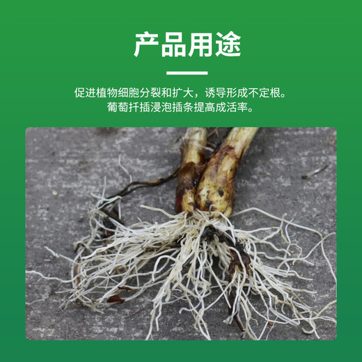 5% indolebutyric acid and naphthylacetic acid can be used for soaking grape cuttings to improve survival rate and drip irrigation rooting 20ml*4 bottles
