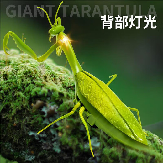 Zhio Fernbedienung Mantis Elektrische Simulation Spielzeug Douyin Streich Artefakt Kakerlaken Junge kann Spinnenkriechtiere bewegen [Klassische Version - Fernbedienungs -Ladykäfer] Rotes Modell 9922 Standard