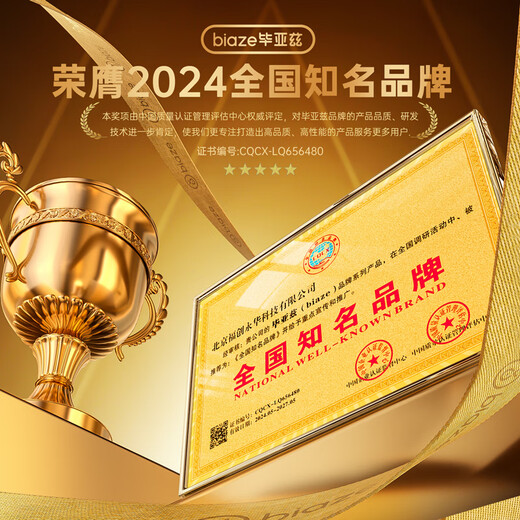 毕亚兹(BIAZE)256GB TF（MicroSD）存储卡 行车记录仪&安防监控专用内存卡读速100MB/S家庭监控高度耐用