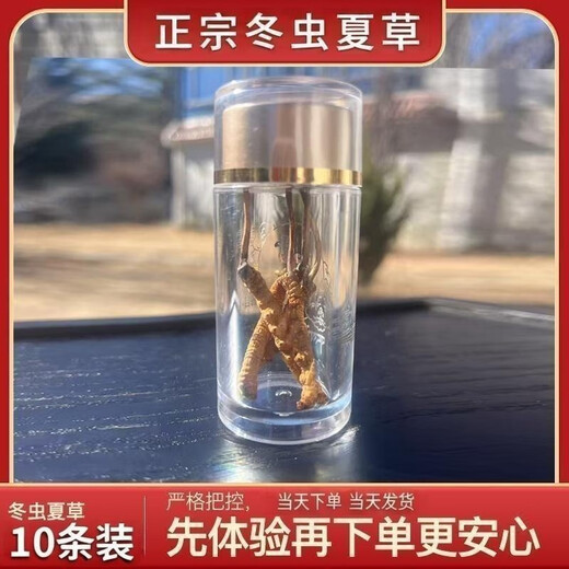 Authentic Cordyceps authentic Cordyceps gift box 3 pieces/gram 50 pieces Cordyceps gift nutritional gift tonic for elders 3 pieces/gram (Specifications) 20 pieces gift box