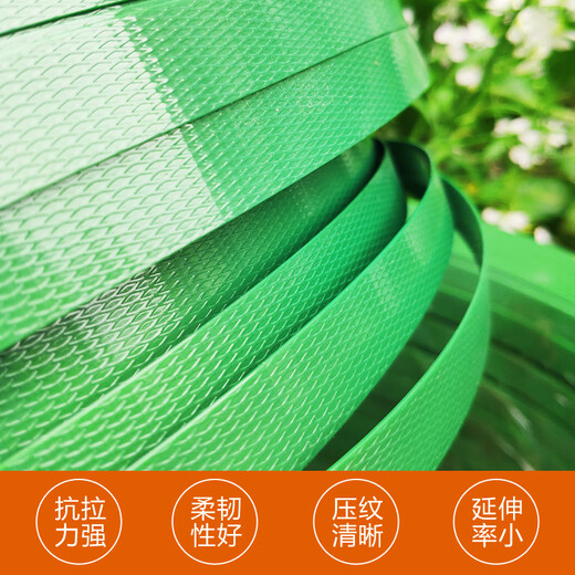 PET塑钢打包带绿色1206 1606 1608 1910手工塑料捆绑带净重10公驰 1606-800米-10公斤