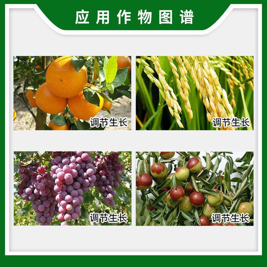 Qibao American Qibao 20% gibberellic acid 920 growth regulator rice grape citrus tree growth regulator gibberellin 1g 1g*10 bags