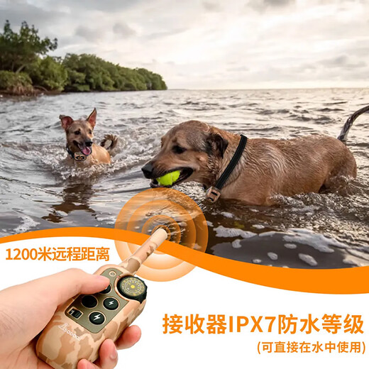 SODOG 新款彩屏遥控训狗器止吠器电击项圈训狗神器防止狗叫防爆冲 KT689-拖1(1只狗狗的选)