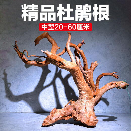 Natural sunken wood azalea root fish tank landscaping material habitat for fish and shrimp to avoid lizards climbing and pet arch bridge ornaments Selected medium-sized azalea roots 18-25 cm 2 pieces Selected azalea root sunken wood