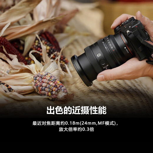Sony (SONY) G Master full-frame mirrorless lens FE24-50mm F2.8 G official standard 24-issue interest-free