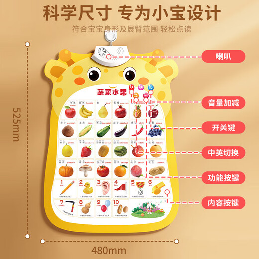 Les nourrissons et les jeunes enfants ont été des jouets en éducation audio pour reconnaître l'alphabétisation de 6 à 12 mois de pinyin chinois de 1 à 3 ans pour voir les images et les objets 1 image [reconnaître les gens]