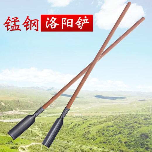 卫洋WYS-1421 多功能洛阳铲 大号洛阳铲头+1.4米木柄 工地打洞取土挖土铲子