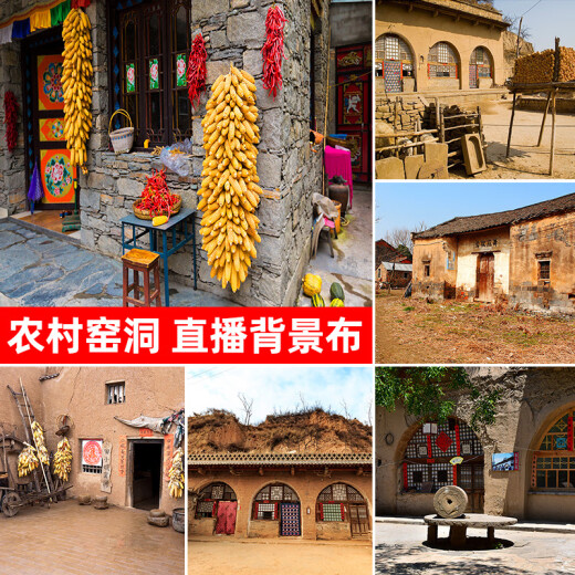 康童直播背景布3d立体 高清主播背景布抖音直播玉米房子窑洞农村风景 GX-9194加厚无纺布宽2.2*高1.8M