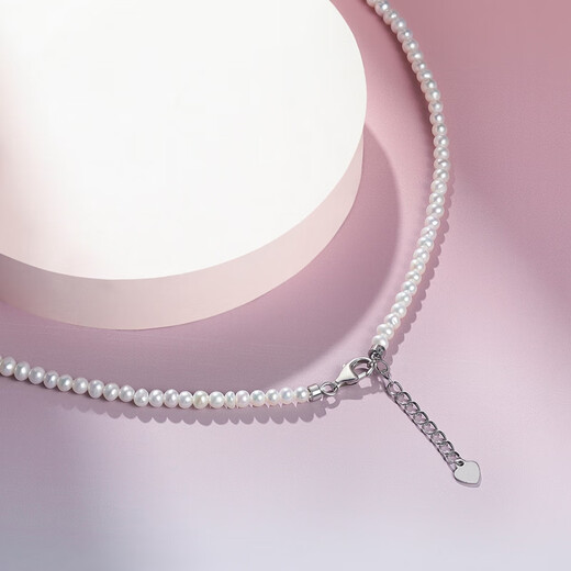 Pearl Queen S925 silver freshwater baby pearl necklace 3-4mm millet bead clavicle chain birthday gift for women
