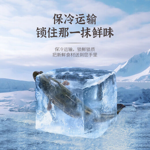 Zhongrun fish, frozen middle-stage slurry-free black fish fillet 250g, sashimi, pickled fish, fresh fish, healthy and light food