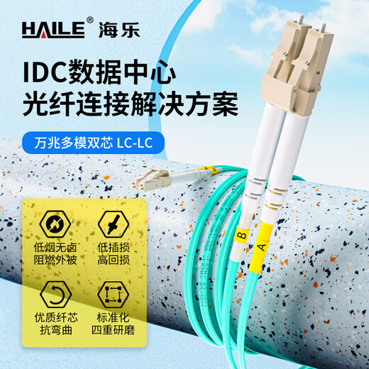 
HAILE 10 Gigabit multimode fiber jumper LC-LC low smoke halogen-free double core jumper OM3-300UPC connector 50/125 pigtail 5 meters HJ-2LC-LC-MT5
