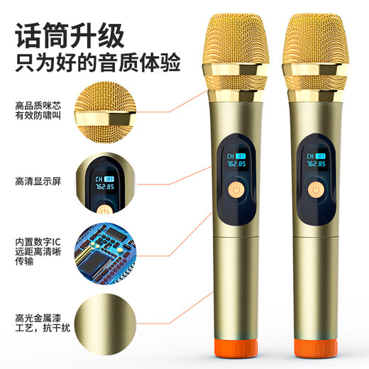 Xinke T30 square dance audio outdoor Bluetooth speaker subwoofer high volume home karaoke portable mobile amplifier street stall large speaker 12-inch single microphone