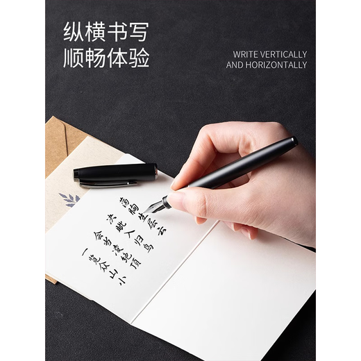 Hero (HERO) pen, high-end adult student pen, calligraphy practice, calligraphy, art pen, business birthday gift, pen gift box for teacher souvenir gift, custom engraving, Black Warrior - single pen gift box (free ink) F tip (0.5mm)