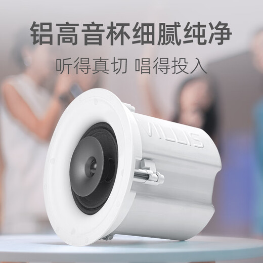 威力声（Villis） VX6吸顶音响嵌入式音箱家庭ktv套装投影仪家庭影院家用K歌卡拉ok点歌机客厅天花吊顶吸顶喇叭 VX6*4+H2300功放